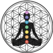 Descenso Lunar: Un viaje de 7 sesiones para la sanación emocional y el despertar espiritual 👈