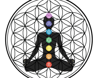 Descenso Lunar: Un viaje de 7 sesiones para la sanación emocional y el despertar espiritual 👈